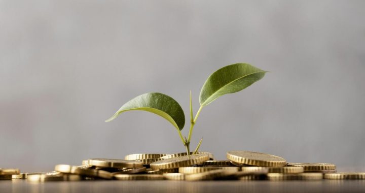 Indicador Oportuno de la Actividad Económica