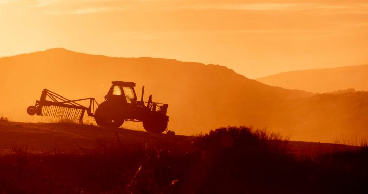 Indicador Trimestral de la Actividad Económica Estatal