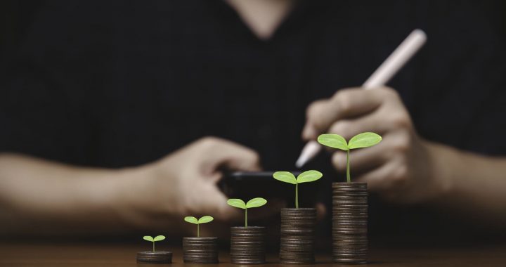 Inversión fija bruta