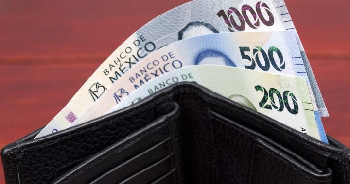Banco de México: Informe Trimestral