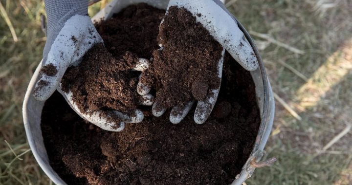 Impacto del Conflicto en Ucrania sobre el mercado global de fertilizantes