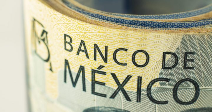 Informe Trimestral del Banco de México
