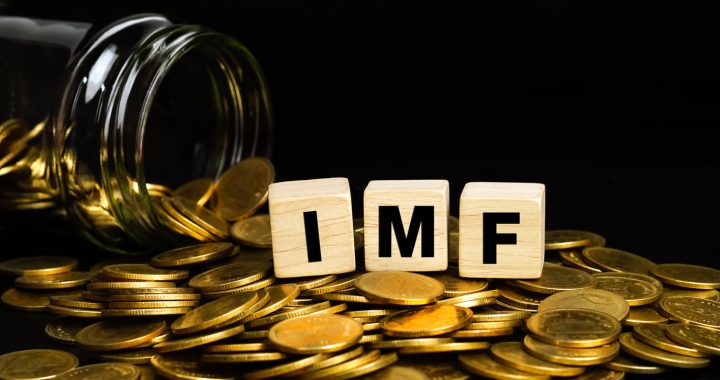 Análisis comparativo entre los pronósticos del Fondo Monetario Internacional y la Secretaría de Hacienda y Crédito Público para 2023