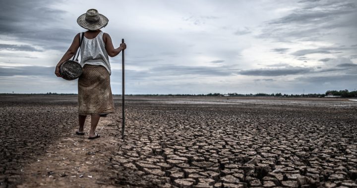 Día Internacional contra el Cambio Climático