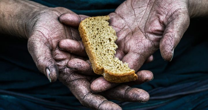 Día mundial de la Alimentación