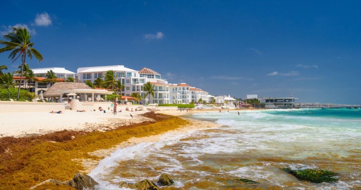 Indicadores de la actividad turística en México