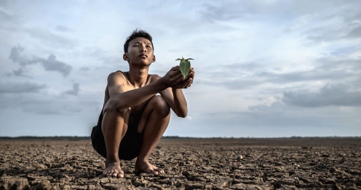 Perspectivas Económicas para América Latina 2022